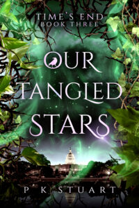 Time's End Book 3: Our Tangled Stars